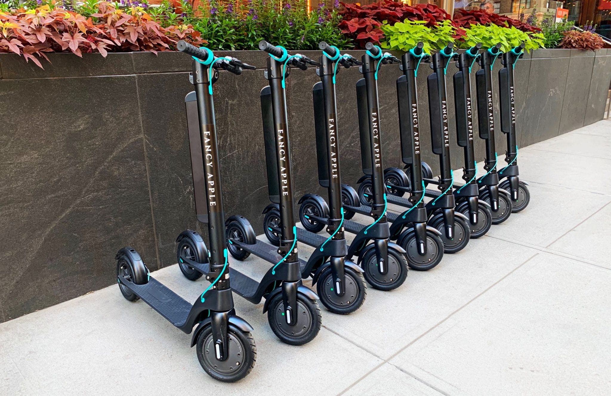 Electric Scooter Rentals in NYC | Fancy Apple New York